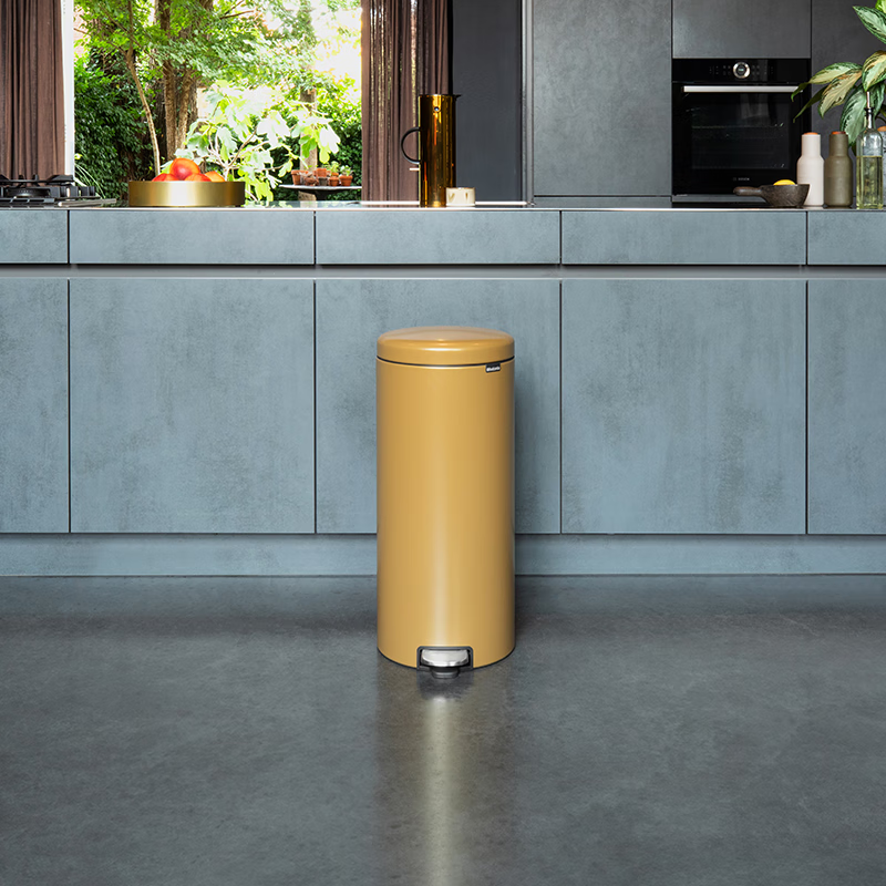 Brabantia柏宾士垃圾桶进口30L厨房卫生间客厅家用卧室高级带盖脚踏式卫生 暖金色【30L】
