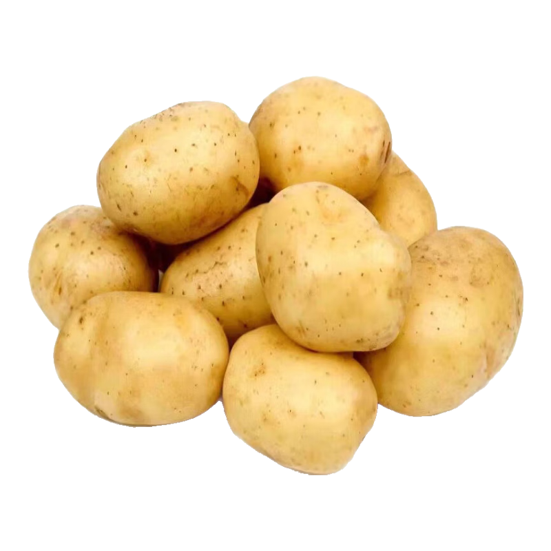 播州鮮現(xiàn)挖土豆新鮮蔬菜高山馬鈴薯黃皮黃心早餐土豆泥麻辣燙火鍋食材 黃皮土豆5斤箱裝 （凈重）