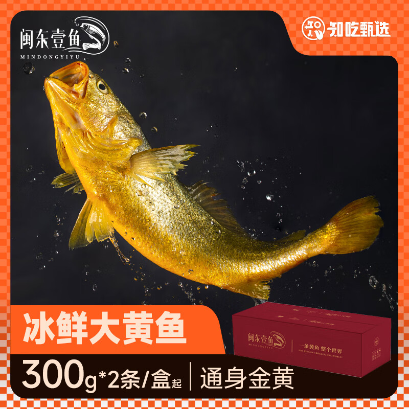 闽东壹鱼黄鱼新鲜冷冻整箱商用海捕黄鱼鲜活300g小黄花鱼500g大黄鱼 海钓小黄鱼300g*4条