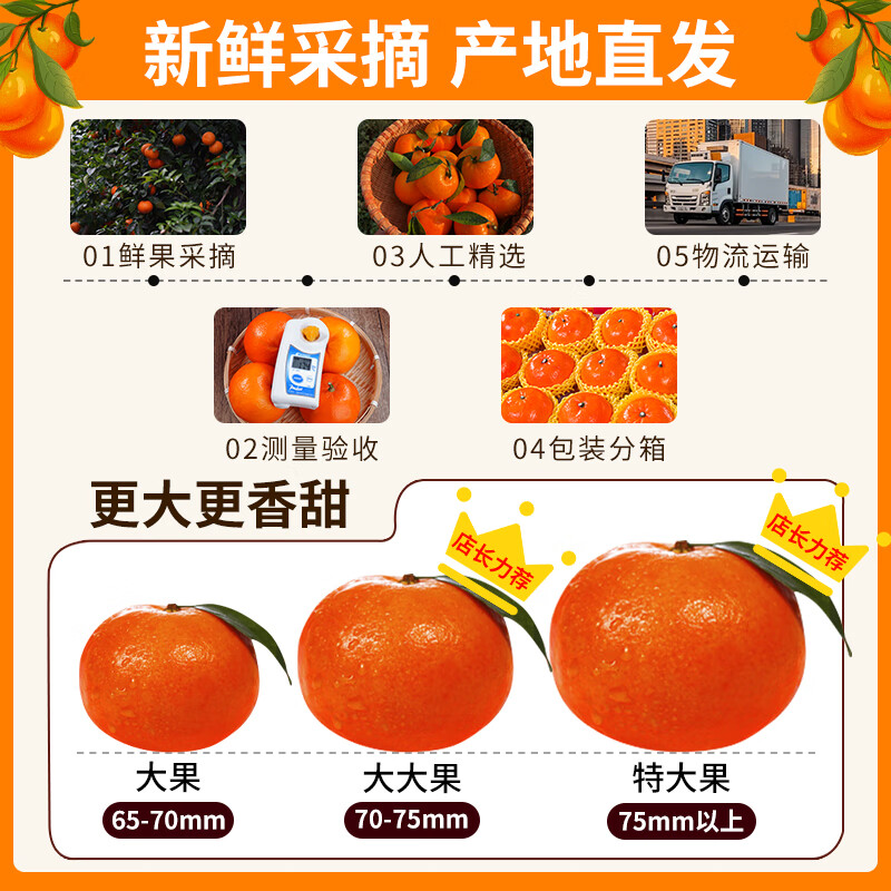 裕琼沃柑广西武鸣沃柑新鲜柑橘桔子水果皮薄多汁应当季送礼甜橙子 净重9斤家庭装优选果丨单果60-65mm