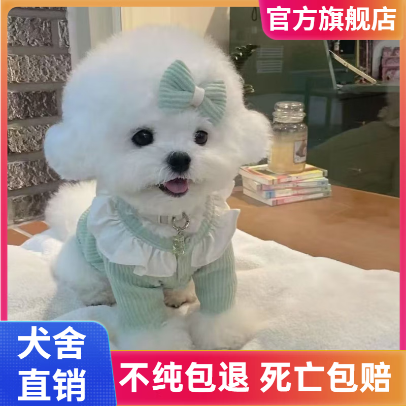 ���ڲ����������δ��ֱ�����ȮС��С������ëѪͳ����Ȯ�豭���ﹷ��������ɰ� Ѫͳ�� ���� ĸ 2920Ԫ