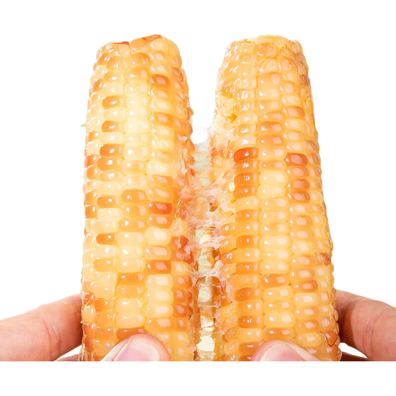 ������ ���ϻ�Ŵ���� ����2�� 