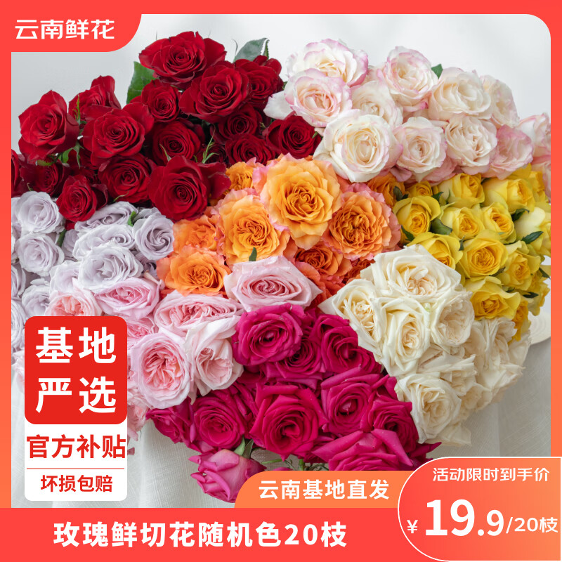 �����ʻ� �ʻ���ͥ����廨�ʻ��������������ʻ����������ʻ� õ��10֦��10֦��20֧���ɫ