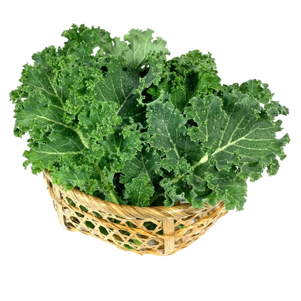 ڲʼ¸߲ɳ JD/˳Ҷkaleե֭ 500g15.88Ԫ
