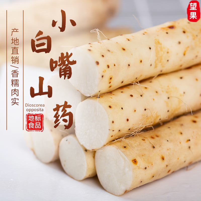 ���ش�ӱ���������С����ɽҩ��ɽҩ����4.5�ﵥ��30-50cmԴͷֱ������