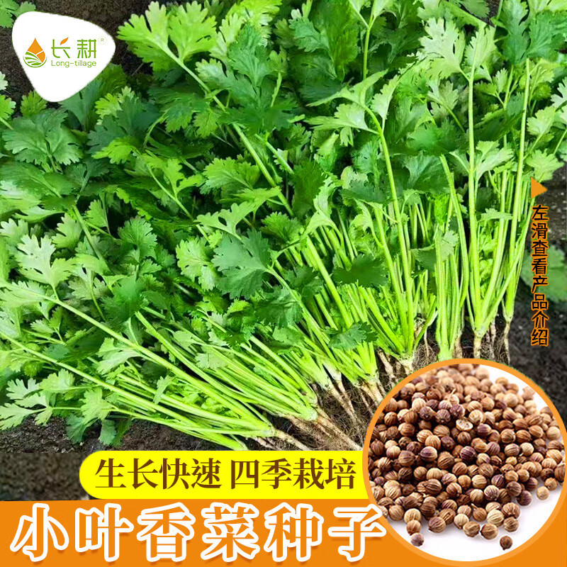 查蔬菜类历史价格的网站|蔬菜类价格比较