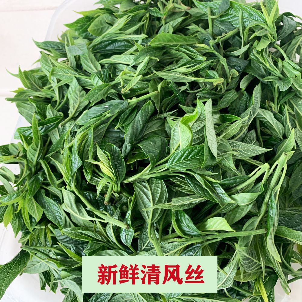 清风丝顺丰新鲜采摘金刚术大青叶野生空心菜清凉温州山货当季野菜 1斤
