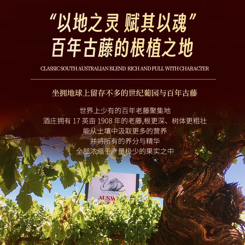 天鹅庄【前澳驻华大使推荐用酒】澳大利亚红酒干红葡萄酒原瓶进口年货礼 【送礼优选】BIN68西拉 750ML*2