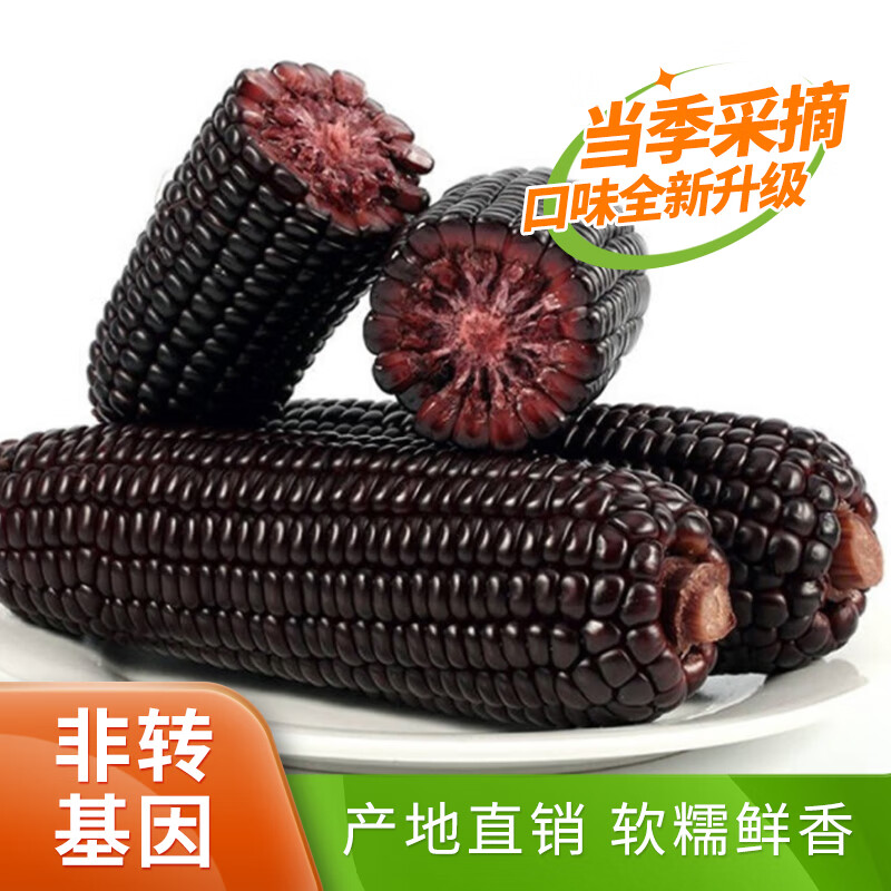 ϱ2024궫Ŵ ͷװ  Ŵճ ʹ Ŵ10֧͸(֧200-230g)16.99Ԫ