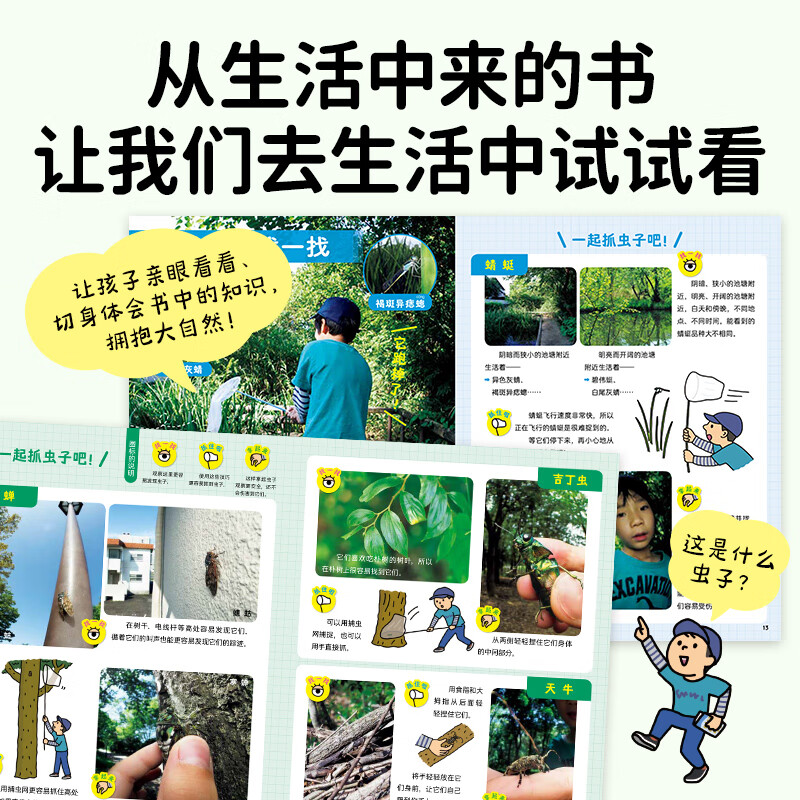 【点读版】好喜欢科学·好喜欢的大自然 3-8岁小学生科普科学摄影绘本 高清实图动物植物天文食物科学实验绘本(点读笔需另外购买) 心喜阅童书 （第1辑）好喜欢的大自然：全11册