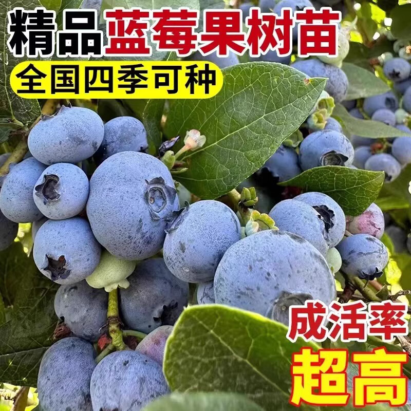 商品图片 1