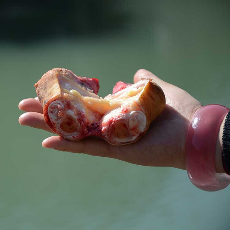 迎宾(yingbin)贵州新鲜带皮小黄牛带骨生牛脚牛蹄筋肉五斤