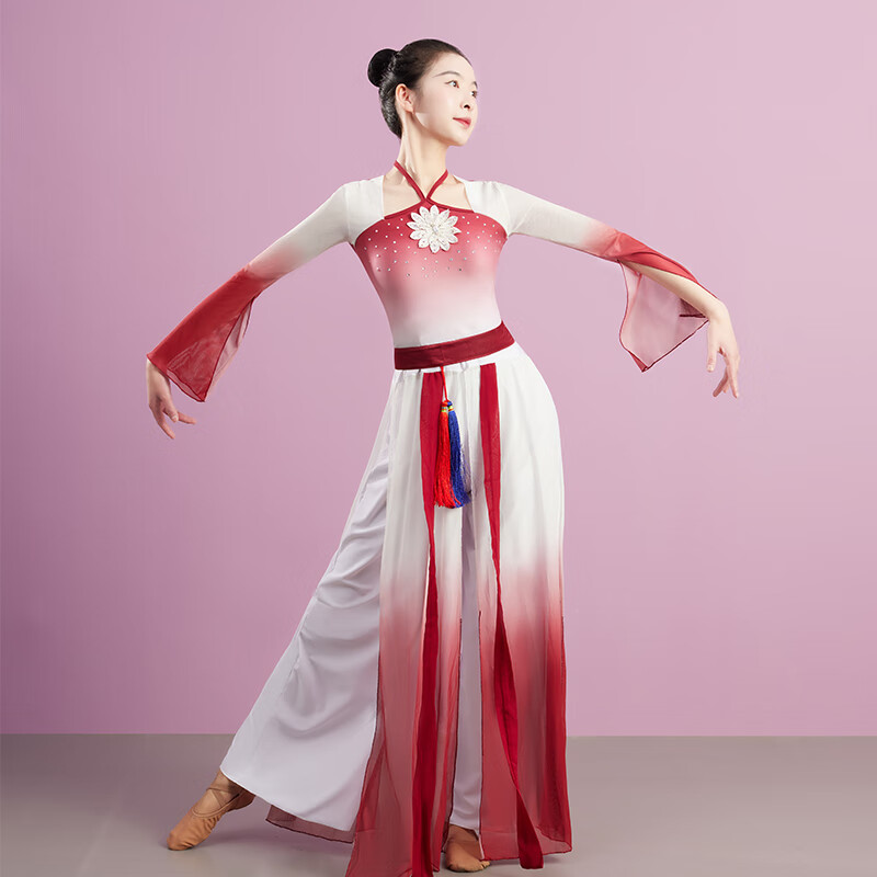 鐵箭（TIEJIAN）官方旗艦新品古典舞蹈服女飄逸練功紗裙演出身韻中國(guó)新款專用長(zhǎng)款 紅茶色 S