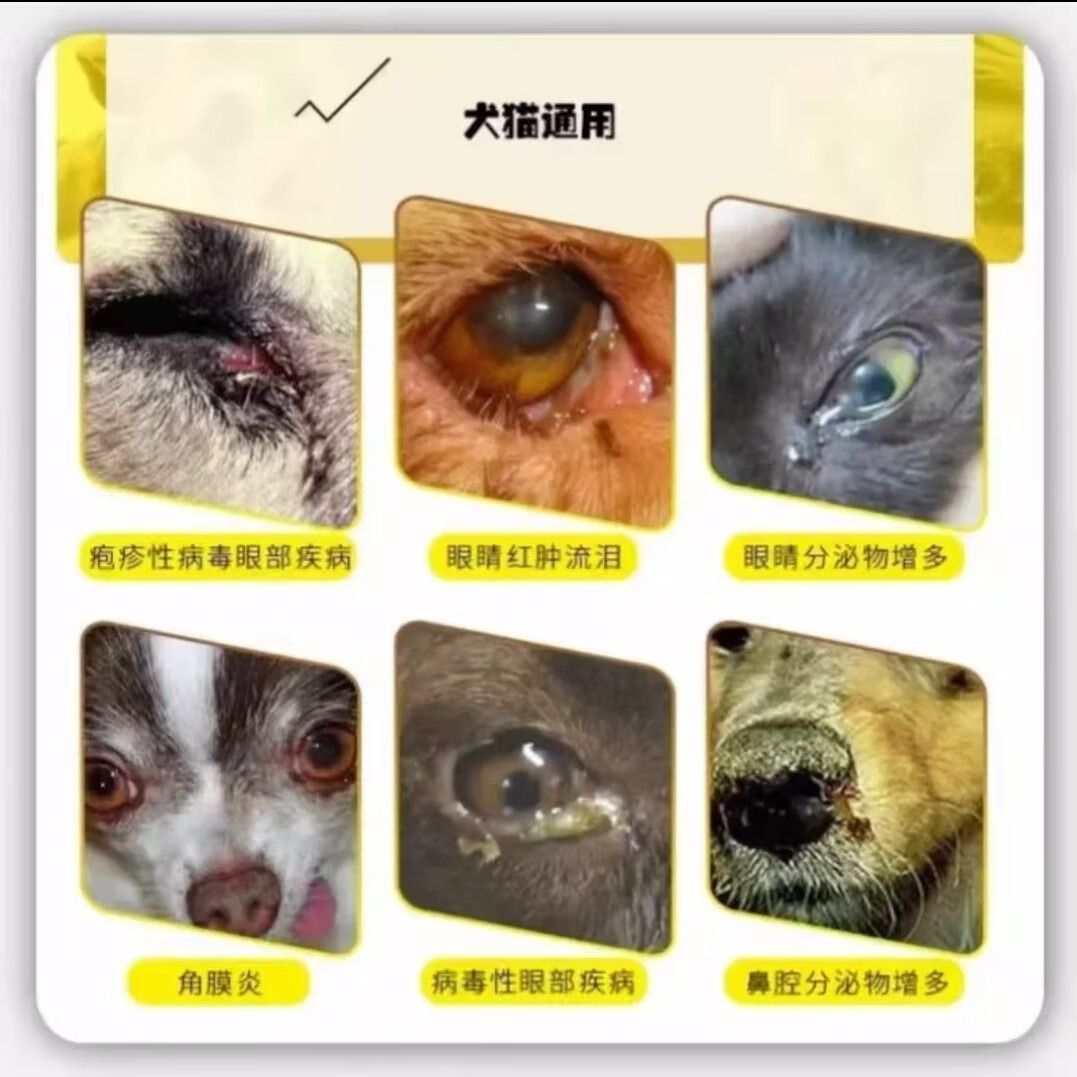 蒙畜康哈蒙德滴眼滴鼻液猫鼻支打喷嚏杯状病毒结膜炎更昔洛韦8ml