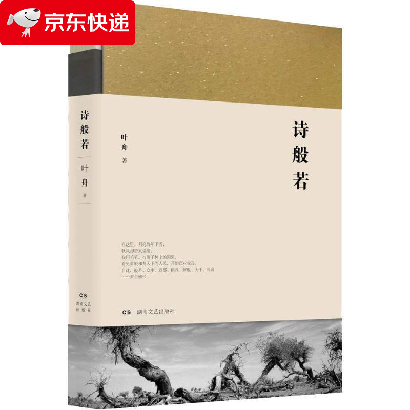 诗般若 叶舟 9787540482350