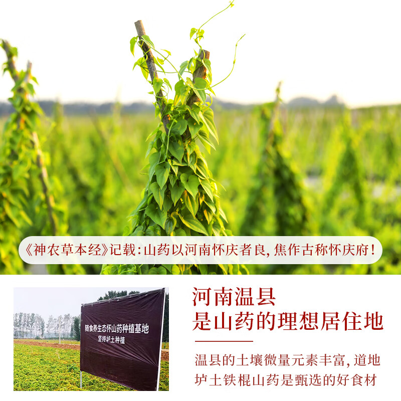 随食养淮山铁棍山药干正宗河南焦作温县干货中药材无硫怀山药片500g 【垆土铁棍山药干】500g*1袋