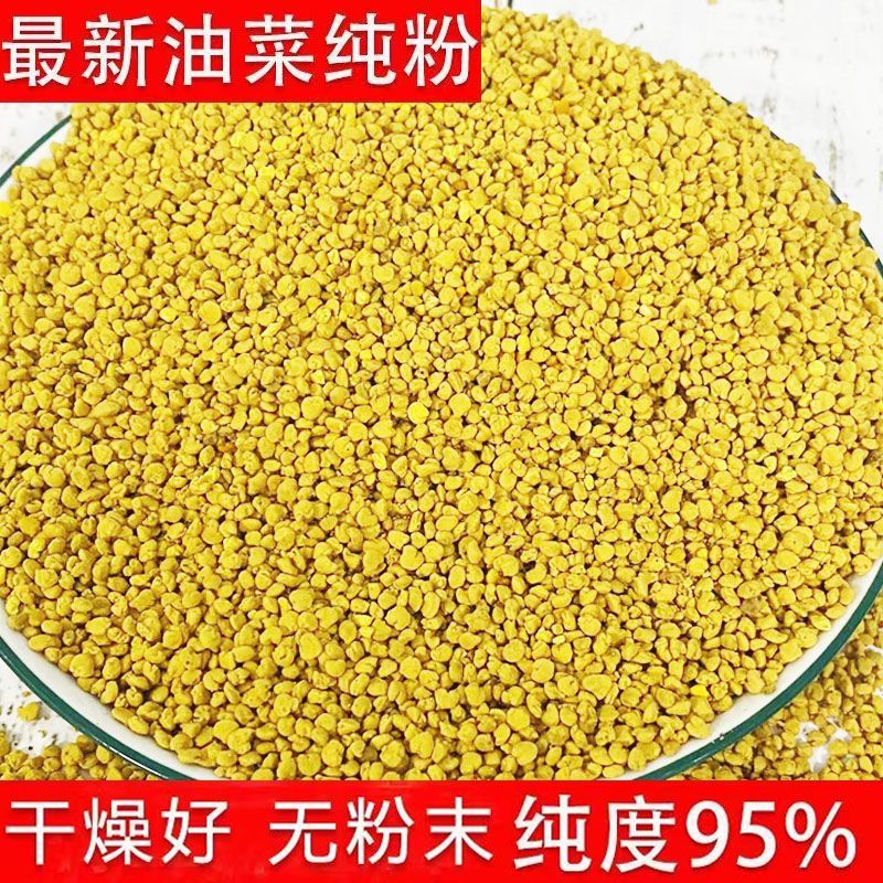油菜花花粉 青海油菜花粉養(yǎng)蜂喂蜂專用蜜蜂中蜂飼料純粉 油菜花粉一斤
