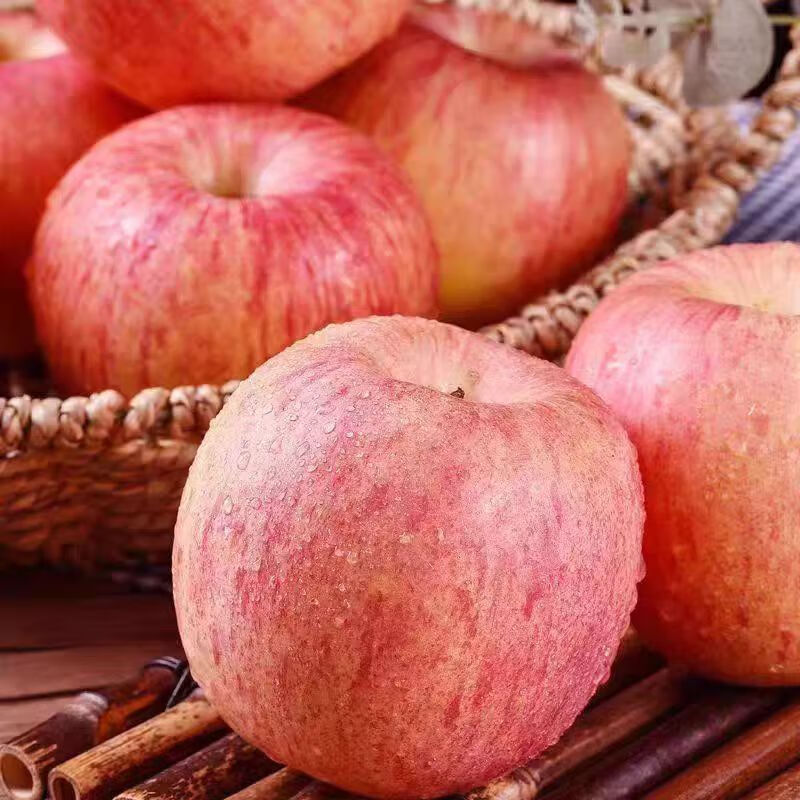 鲜苑胖胖烟台红富士苹果3-9斤装冰糖心脆甜爆汁当季新鲜水果现摘现发大果  9斤特大果(优选85+mm 净重8.5斤)