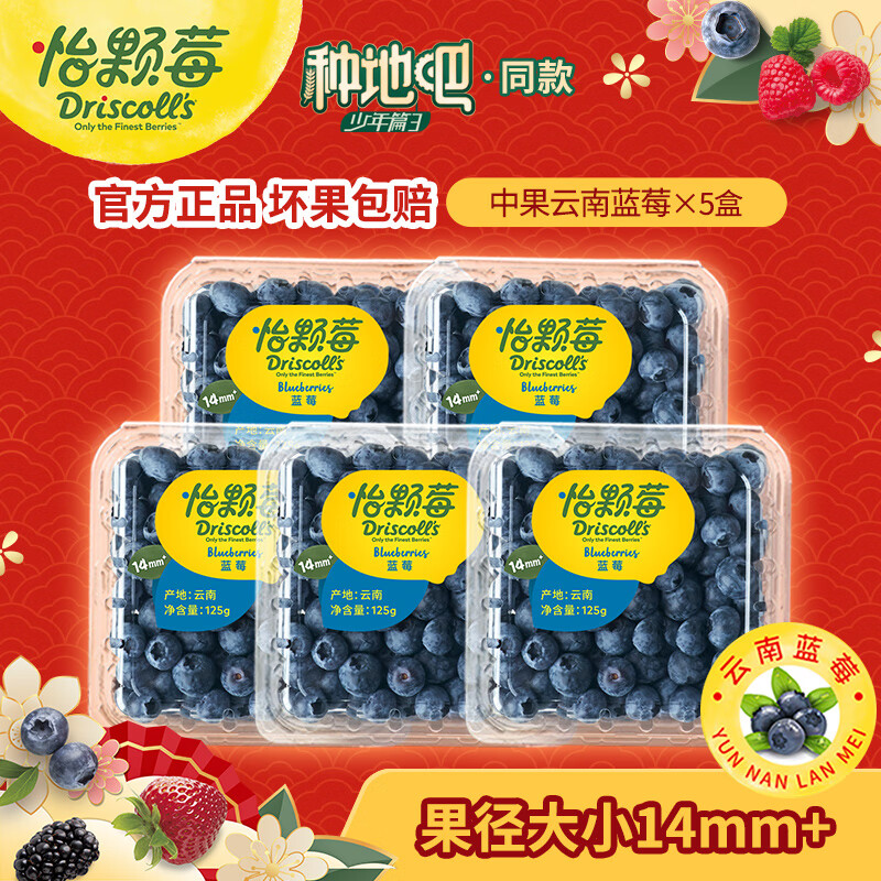 ����ݮ������ר����������ݮ �������� ������ݮ ����ˮ�� ���� ��ݮ�й�125g*5�У�14-18mm��