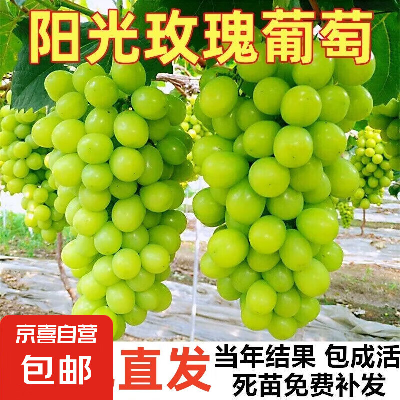 ����õ��޷������������԰��ɻ�������ϱ�����ֲ�����m������ ����õ�� 2���硾1��װ��