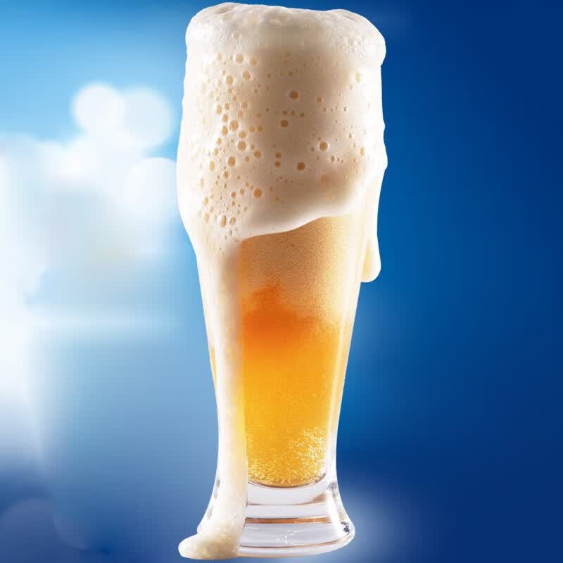 奥加熊原浆白啤酒整箱 原麦汁12°P精酿原浆啤酒500mL啤酒大罐 500mL 12罐 整箱装