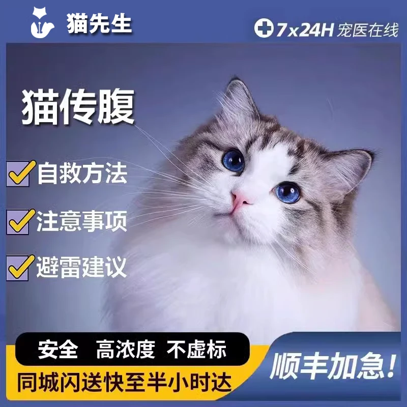44I1猫腹传针剂油剂干性湿性传腹片剂大肚子腹水腹膜炎精神食欲差 20浓度-6ml【加强油剂】*1瓶
