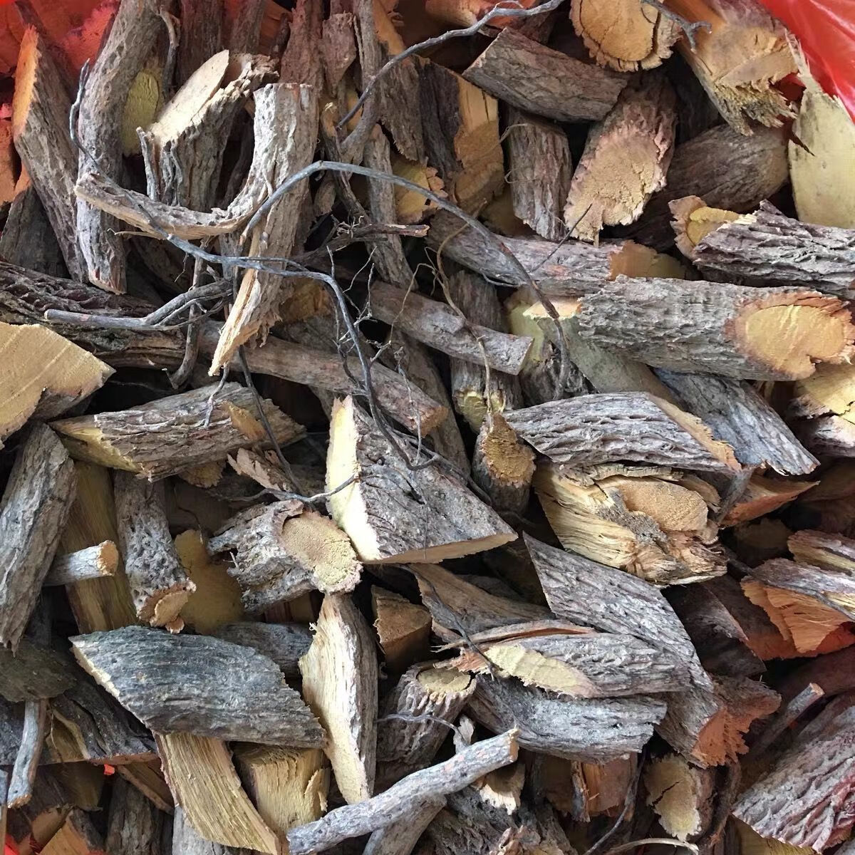 北京同仁堂野生铁包金纯根中药材老鼠耳乌龙根黄鳝藤中药材干品 纯