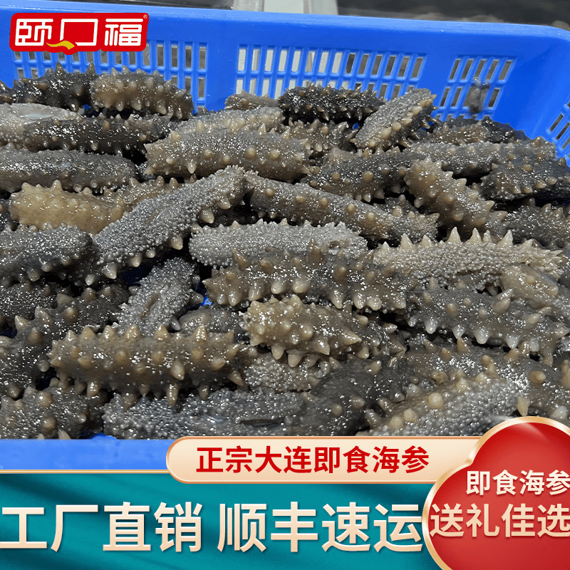 颐口福大连鲜活即食海参鲜食海参葱烧海参佛跳墙礼盒高端海鲜礼盒送礼 大连即食海参16-20只 1斤