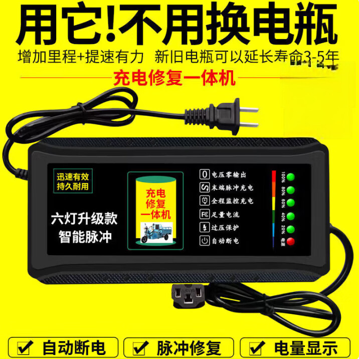 自动断电电动车车充电器48V60V72V20A超威三轮车电车智能通用 六灯加强版48V20AH 通用三孔