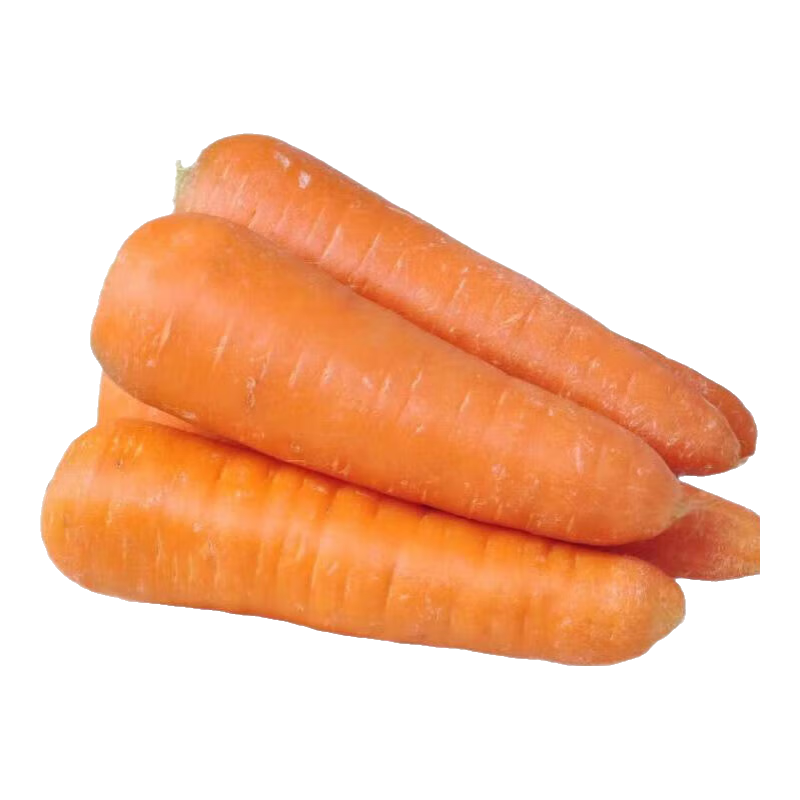 【山东蔬菜】新鲜胡萝卜冰糖心水果萝卜红萝卜即食煲汤不带泥新鲜 尝鲜【净重1斤】寿光农家菜 【新鲜发出丨产地直发】