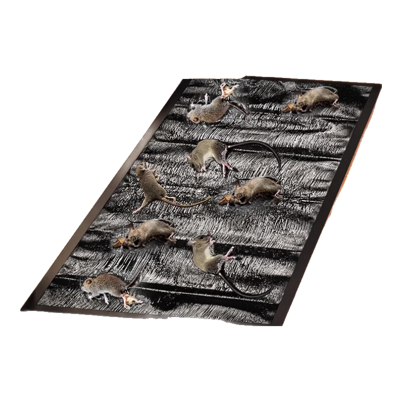 ��ճ��̺6��װ����һ�Ѷ�������������ǿ��ճ����żӺ�������