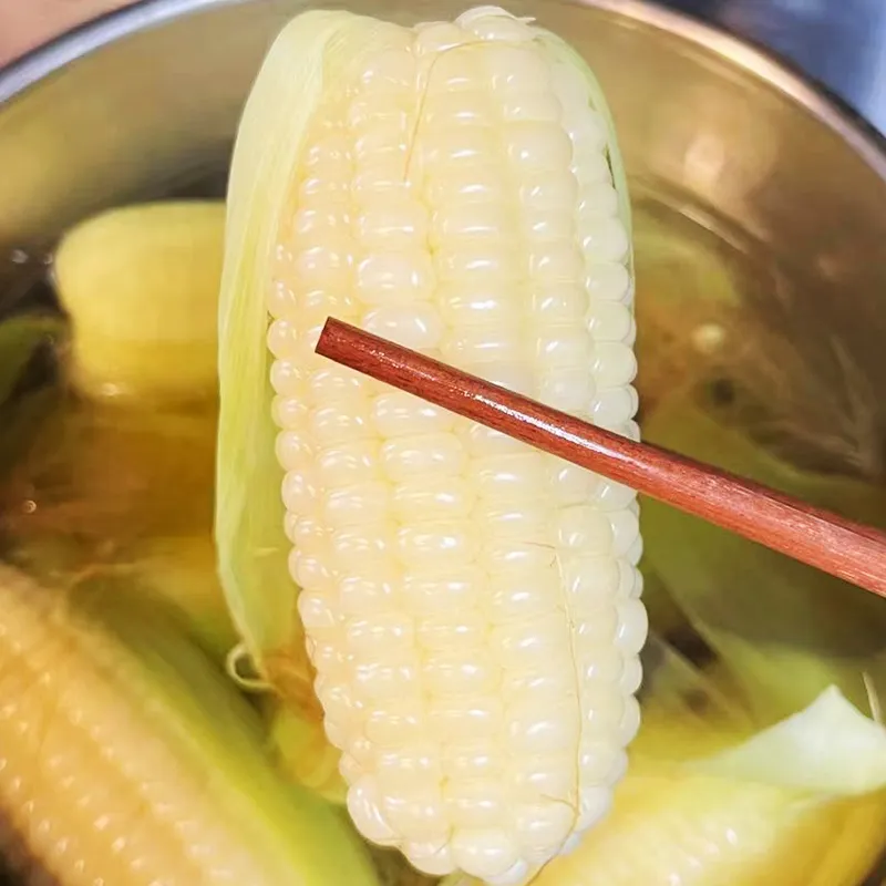 内蒙古巴彦淖尔沙漠甜糯玉米新鲜糯玉米真空包装非转基因蒸煮 220克*10根