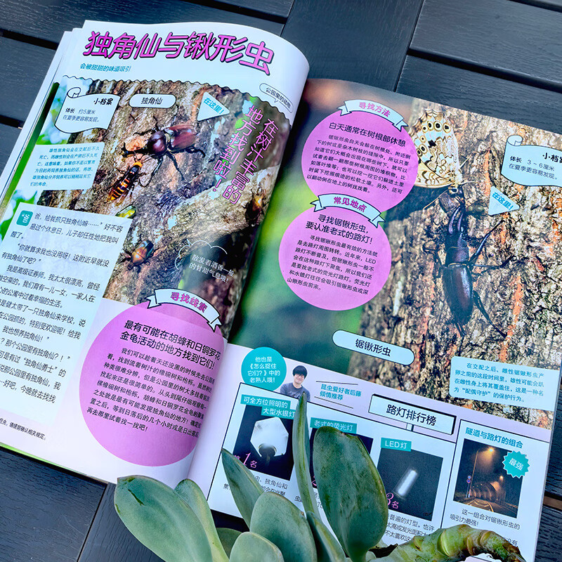 正版 全4册 你没想过的小动物系列 怎么饲养它们 去哪里寻找它们 超有趣的动物小知识 怎么捉住它们 小学生动物知识图文科普读物 课外书