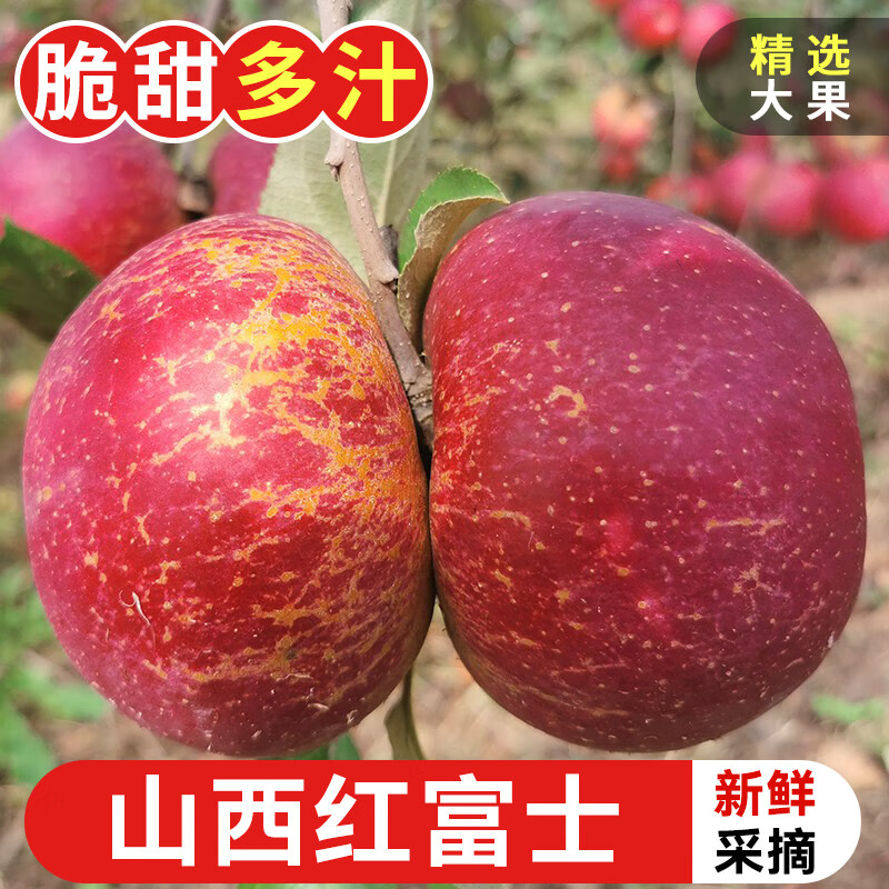 探味君 山西红富士苹果 当季新鲜水果 脆甜大果 嘎啦丑萍果 生鲜 净重8.5-9斤（单果60-65mm）
