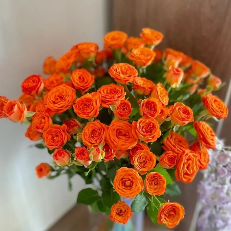 卡布奇诺单头玫瑰鲜花小苍兰香雪兰鲜花云南昆明基地直发鲜切花 多头玫瑰10枝【橙色芭比30上】 花束整长40-50cm送保鲜剂