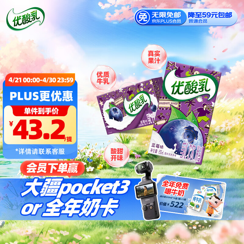 YILI/���� ������ ������ 250ml ��ݮ *24��