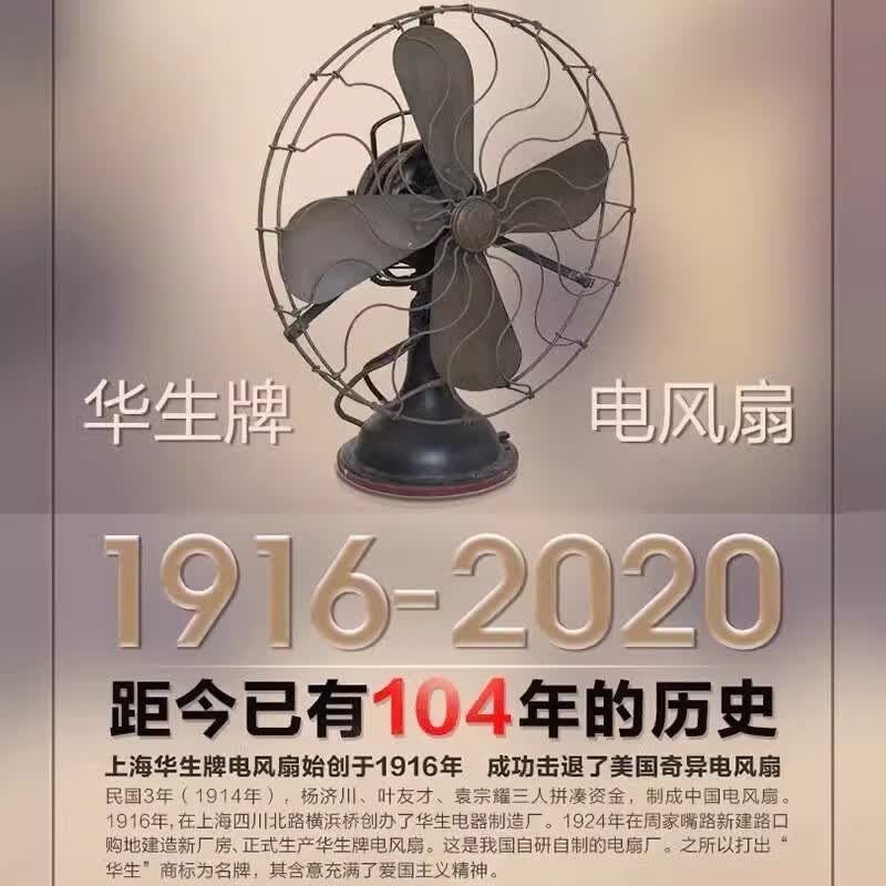 华生电风扇落地扇家用轻音摇头机械定时台式立式宿舍工业大风力扇 基础款-星空灰-16寸-3档风力 推荐