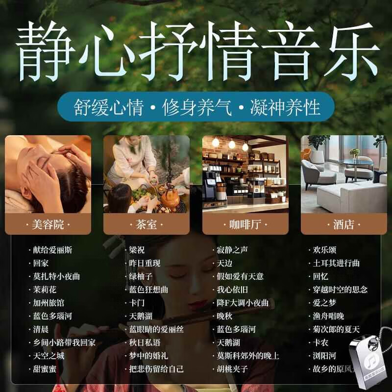 程驼（CHENGTUO）舒缓养生馆轻音乐u盘流行歌曲纯音乐酒店大堂餐厅茶室休闲专用mp3 16/G共1450首纯音乐+无视频 U盘