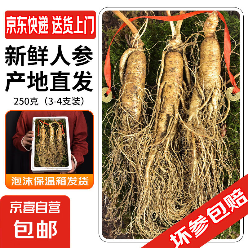 新鮮人參  長白山現(xiàn)挖 東北帶土鮮參 人叁煲湯泡水泡酒料 鮮人參250g（3-4支裝）