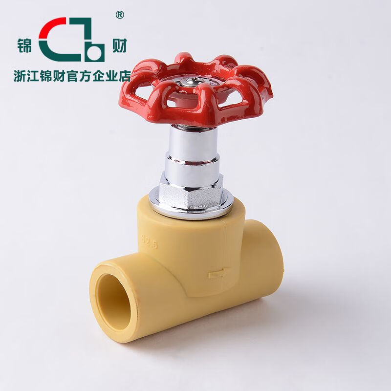 语森忆锦财水管阀门PPR管材升降式截止阀46分全铜闸阀开关加厚阀芯配件 20 20mmPPR管
