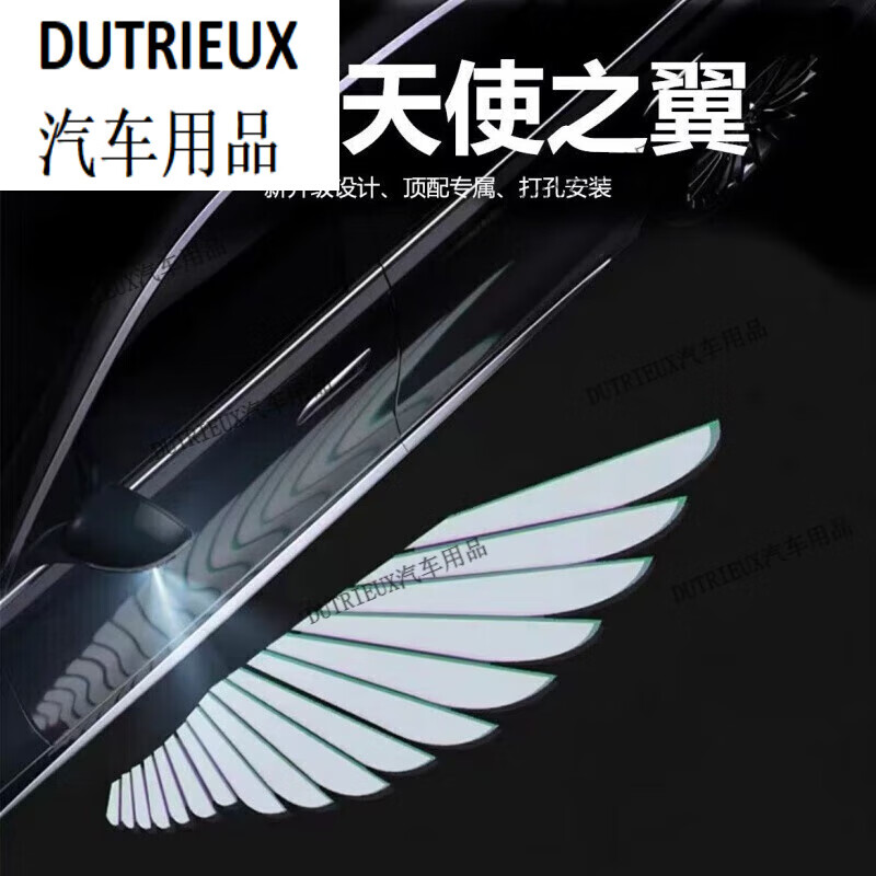 山头林村dutrieux适配红旗h5天使之翼迎宾灯24款hs5/hs3/h9/h6/eqm5 a