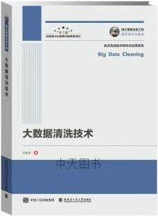 大数据清洗技术 王宏志著 哈尔滨工业大学出版社