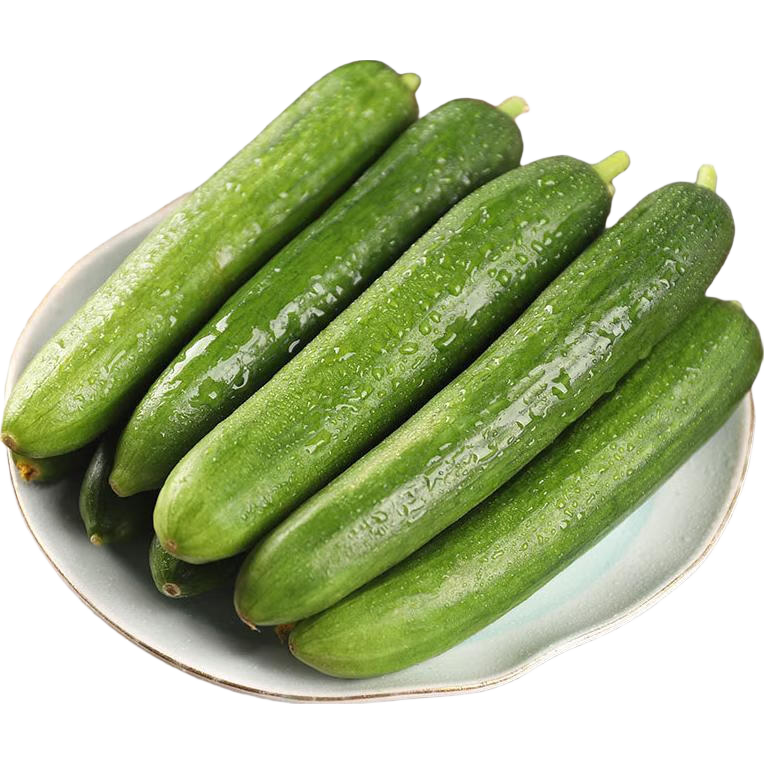 plus会员:京鲜生 山东水果嫩黄瓜 净重5斤 单根70g+ 