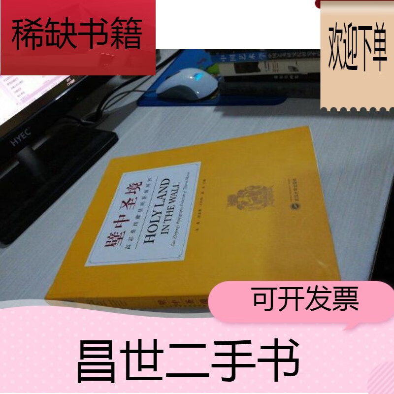 【二手9成新】壁中圣境 高志勇西藏壁画影像精粹  封面书脊处有破损