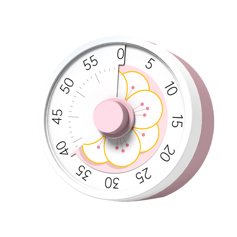 Timess���ӻ���ʱ��2025�¿��ͯѧ��ѧϰ��������������ʱ���������ӳ���ʱ���������ʱ����ѧ������