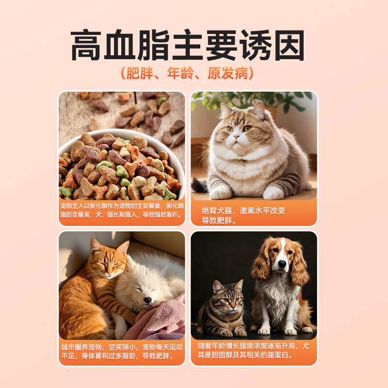 欧博方脂立清通护血管辅助调理血脂红曲胶囊保健品犬猫通用 脂立清2盒(共60粒)