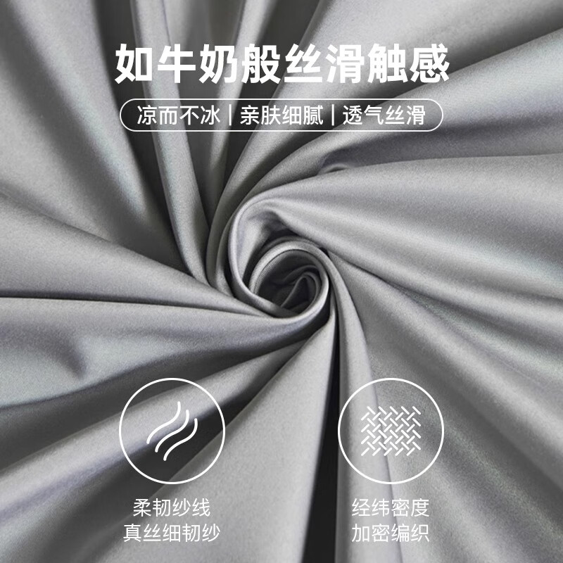 蜜乐暖夏季冰丝枕套48x74cm夏天家用真丝枕头套凉席枕芯套凉枕头罩单只 深空灰【双面刺绣 丝滑透气】 【凉感助眠】48x74cm【单只装】