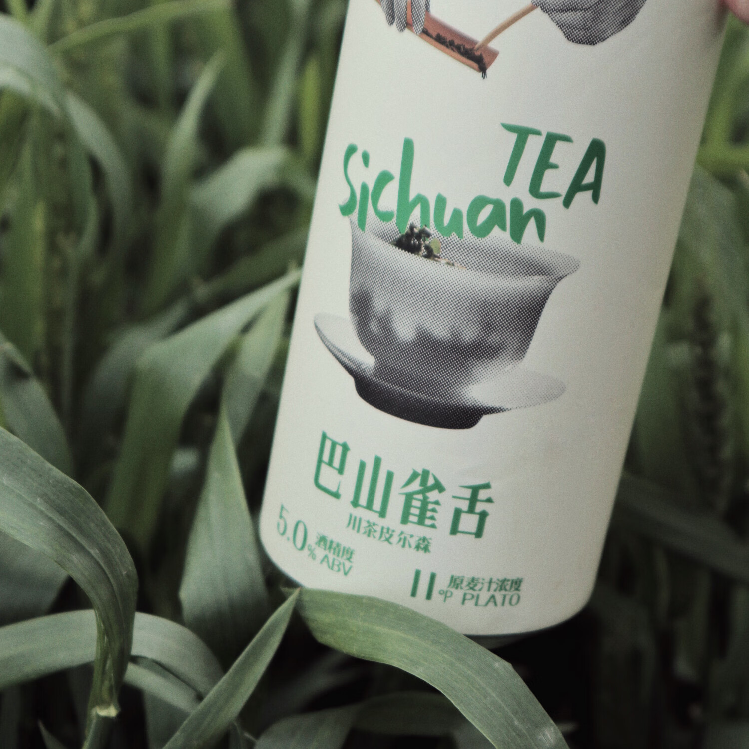 TASTE ROOM南门啤酒 巴山雀舌川茶皮尔森 宝矿啤PLUS青瓜柏林酸小麦国产精酿 巴山雀舌川茶皮尔森 500mL 6罐