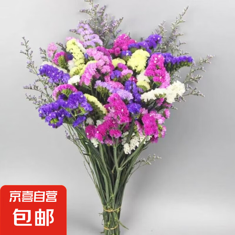 3.99Ԫ2:ҡͬɻл滨廨ڼŮ 22-5ɫԼ400gЧõӸȯʵ3.99Ԫ2