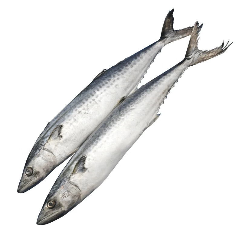 沃鲜汇新鲜冷冻大鲅鱼食材400克/条5条装 5条装(400克/条)